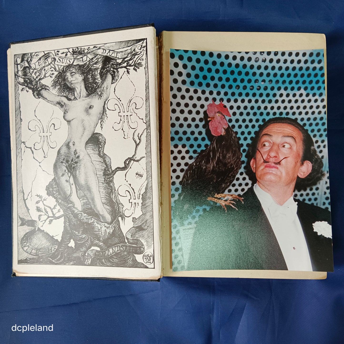 Hidden Faces by Salvador Dali