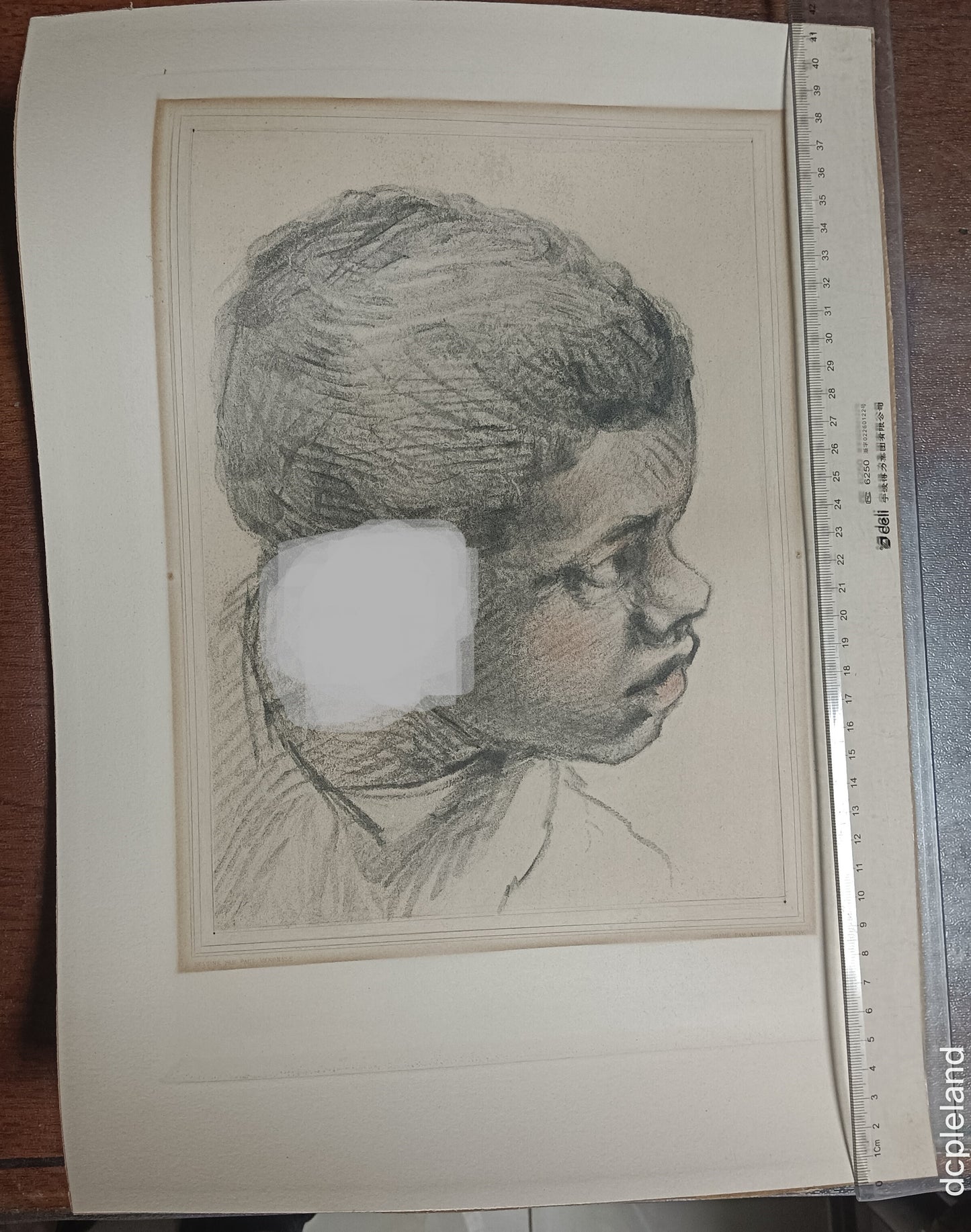 Paolo Veronese drawing charcoal, pencil, rouge on paper