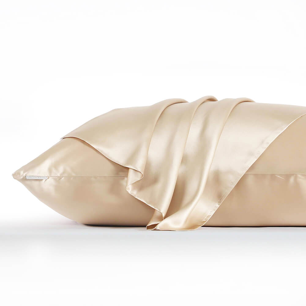 DISANGNI 22 Momme 100% mulberry silk pillowcase, non-toxic dyes, for hair and skin, double-sided silk zipper type, 1pc