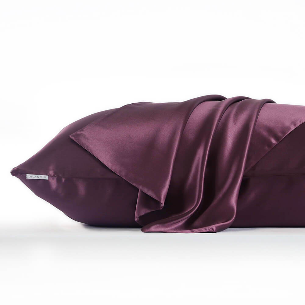 DISANGNI 22 Momme 100% mulberry silk pillowcase, non-toxic dyes, for hair and skin, double-sided silk zipper type, 1pc
