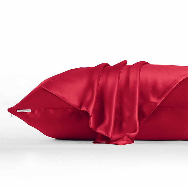DISANGNI 22 Momme 100% mulberry silk pillowcase, non-toxic dyes, for hair and skin, double-sided silk zipper type, 1pc
