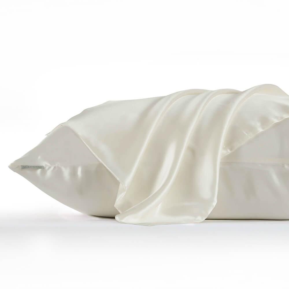 DISANGNI 22 Momme 100% mulberry silk pillowcase, non-toxic dyes, for hair and skin, double-sided silk zipper type, 1pc